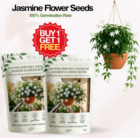 Home Grow Jasmine Flower Seeds (Buy 1 Get 1 Free )