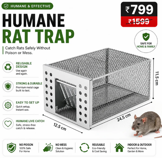 Humane Live Catch & Release Mouse Trap
